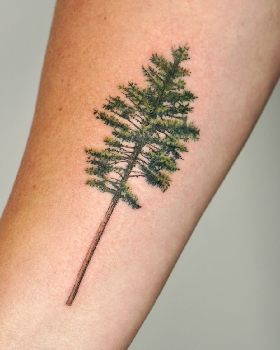 Stunning Realistic Redwood Tree Tattoo for Nature Lovers Tattoo Design