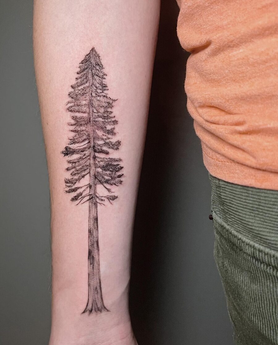 Stunning redwood tree tattoo on forearm Tattoo Design