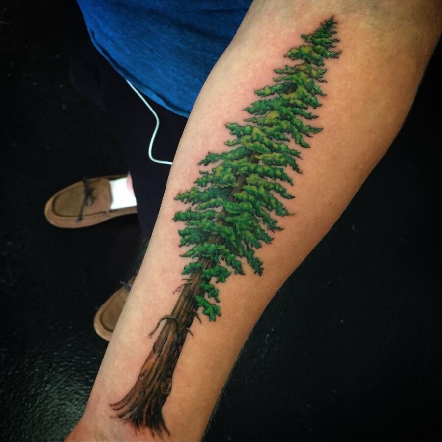 Stunning redwood tree tattoo on forearm Tattoo Design