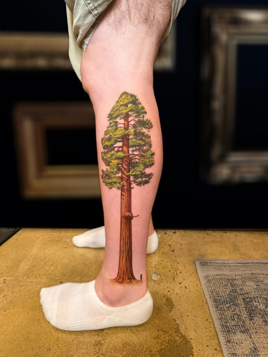 Stunning Redwood Tree Tattoo on Leg Tattoo Design