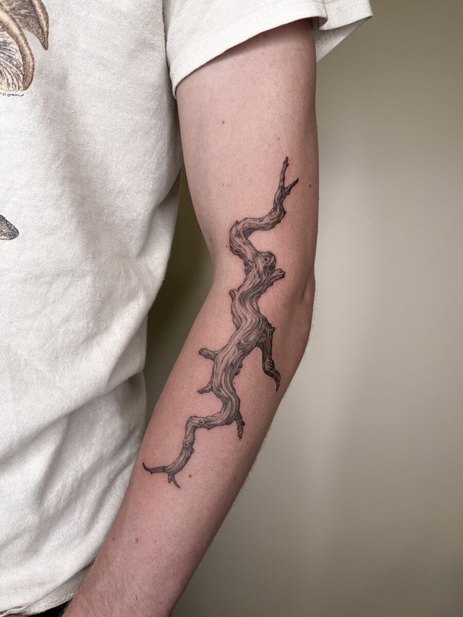 Stylish redwood tree branch tattoo design Tattoo Design