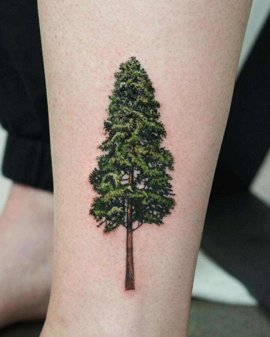 Vibrant depiction of a majestic redwood tree Tattoo Design