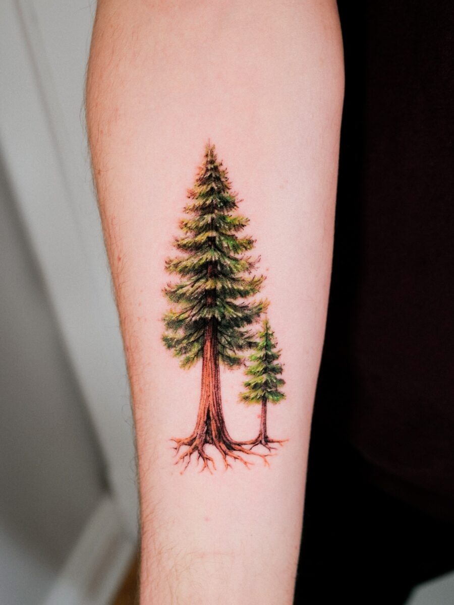 Vibrant redwood tree tattoo design with detail Tattoo Design