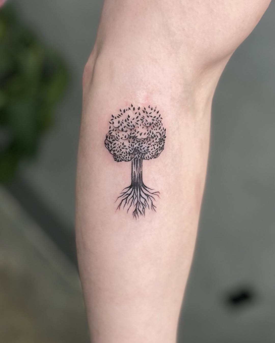 Intricate tree tattoo highlighting unique roots design Tattoo Design