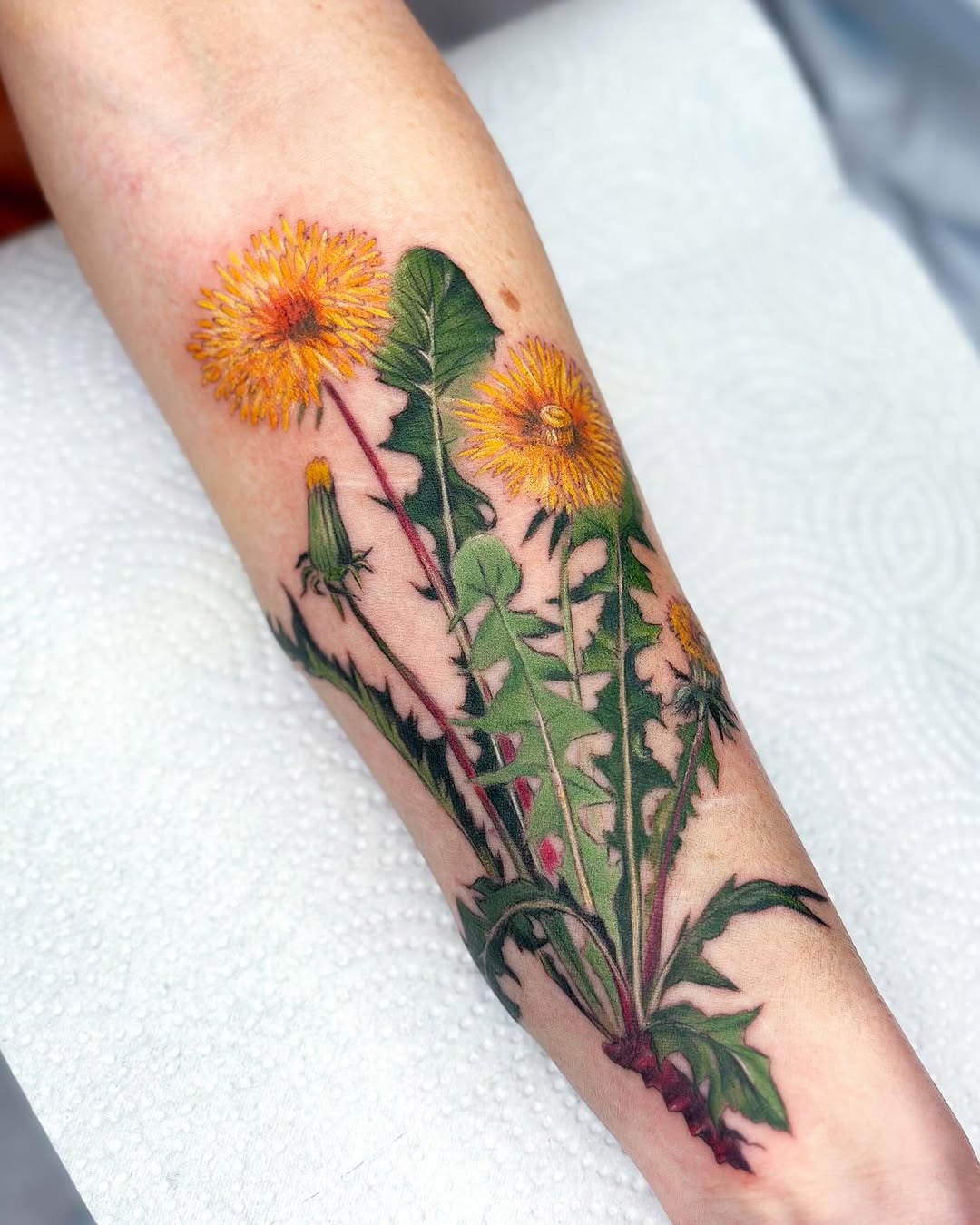Vibrant dandelion roots tattoo showcasing nature's beauty. Tattoo Design