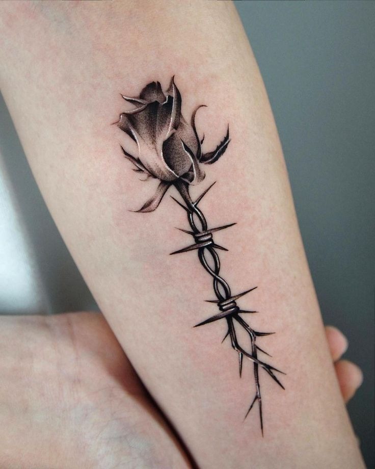 Barbed Wire Rose with a Hint of Rebellion Tattoo Design