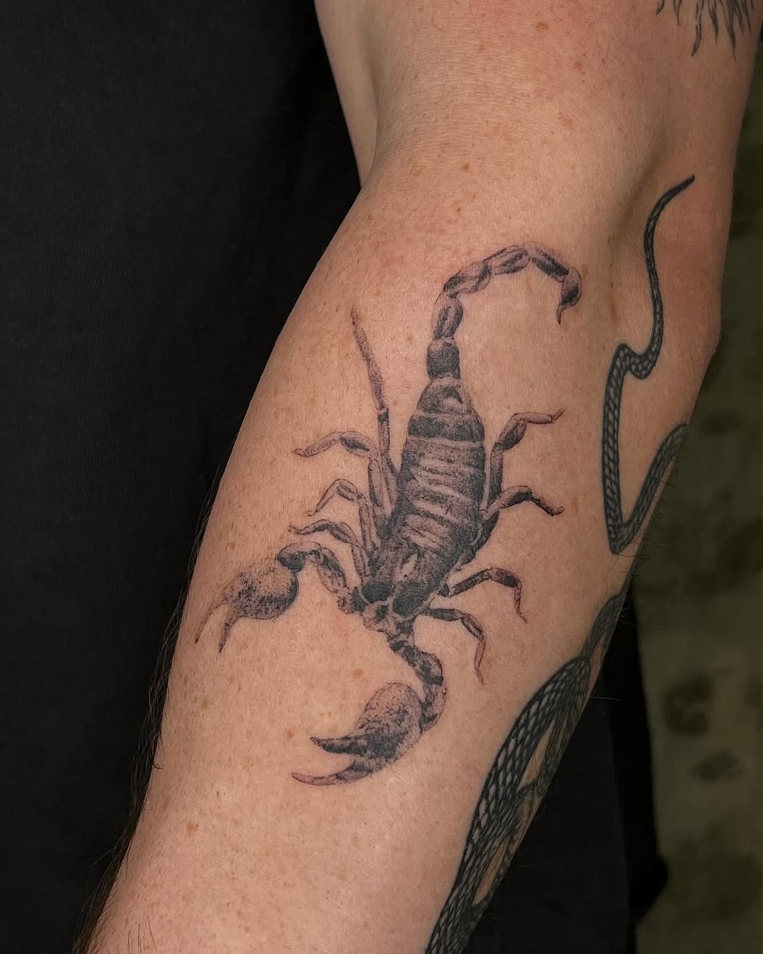 A striking realistic scorpio tattoo design Tattoo Design