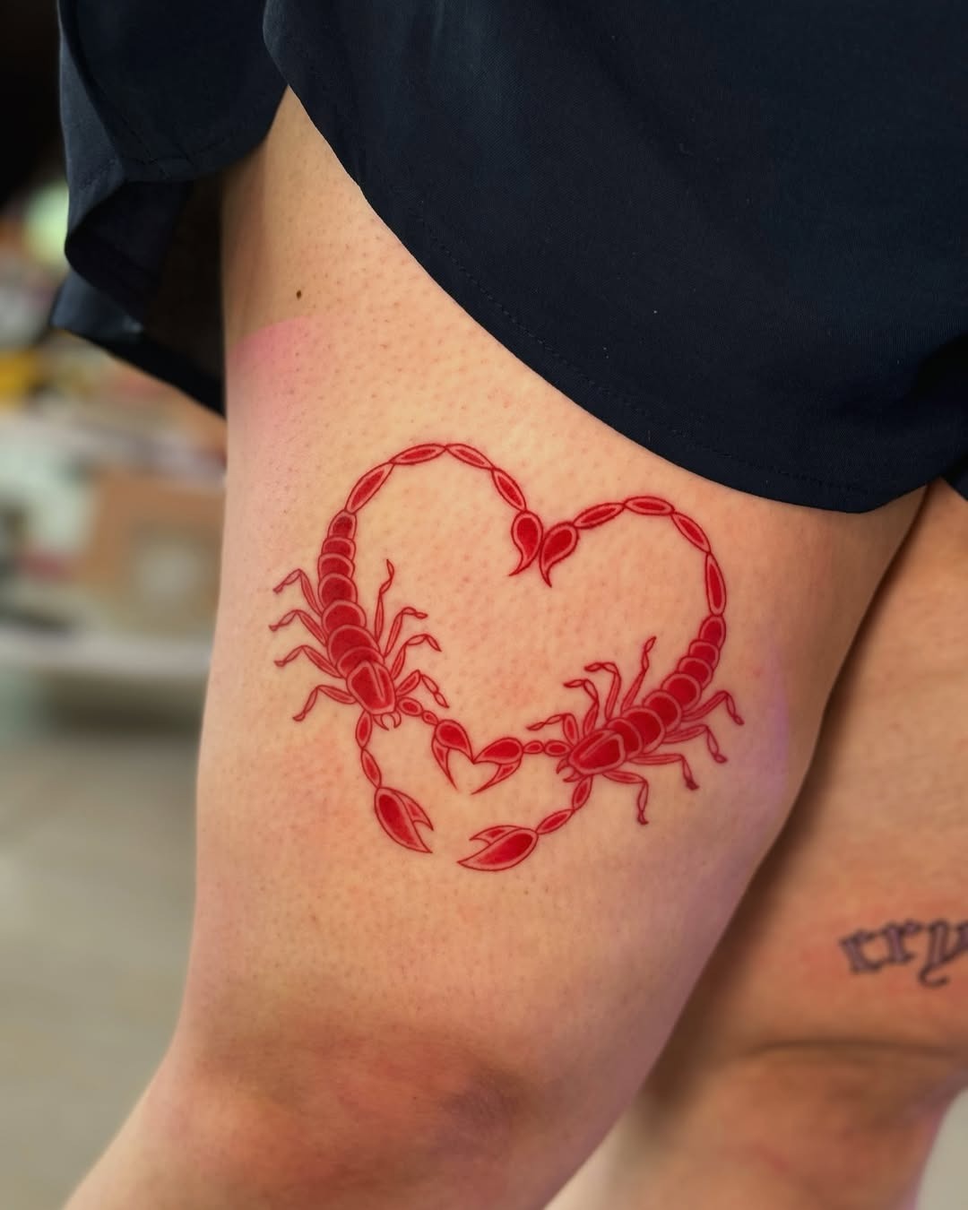 Dual scorpions forming a heart shape tattoo Tattoo Design