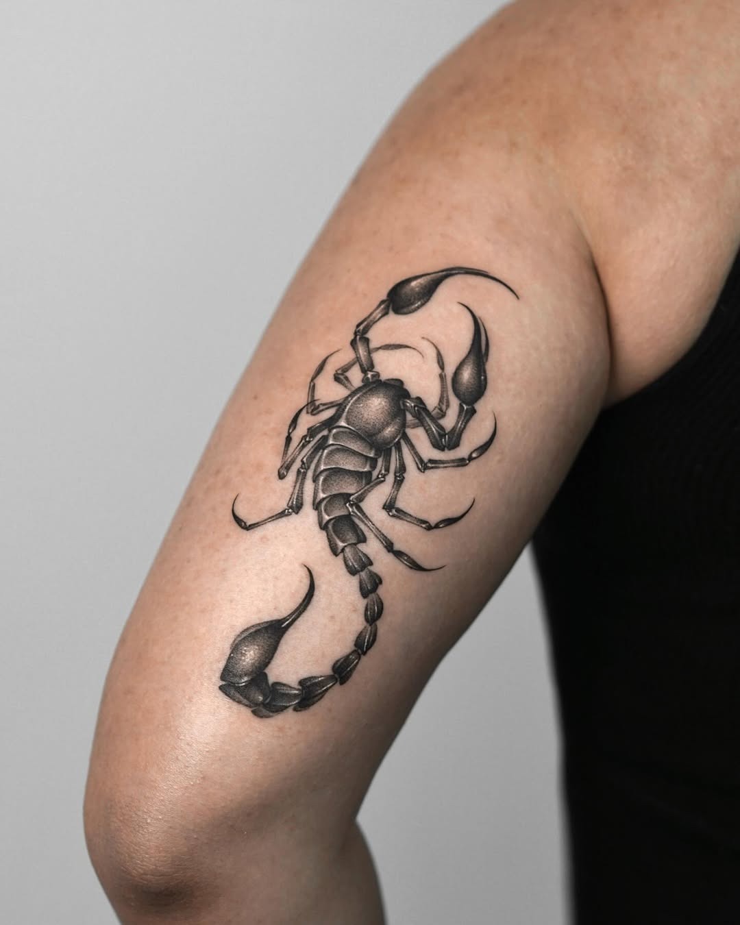 Elegant Scorpio Tattoo Showcasing Intricate Details Tattoo Design