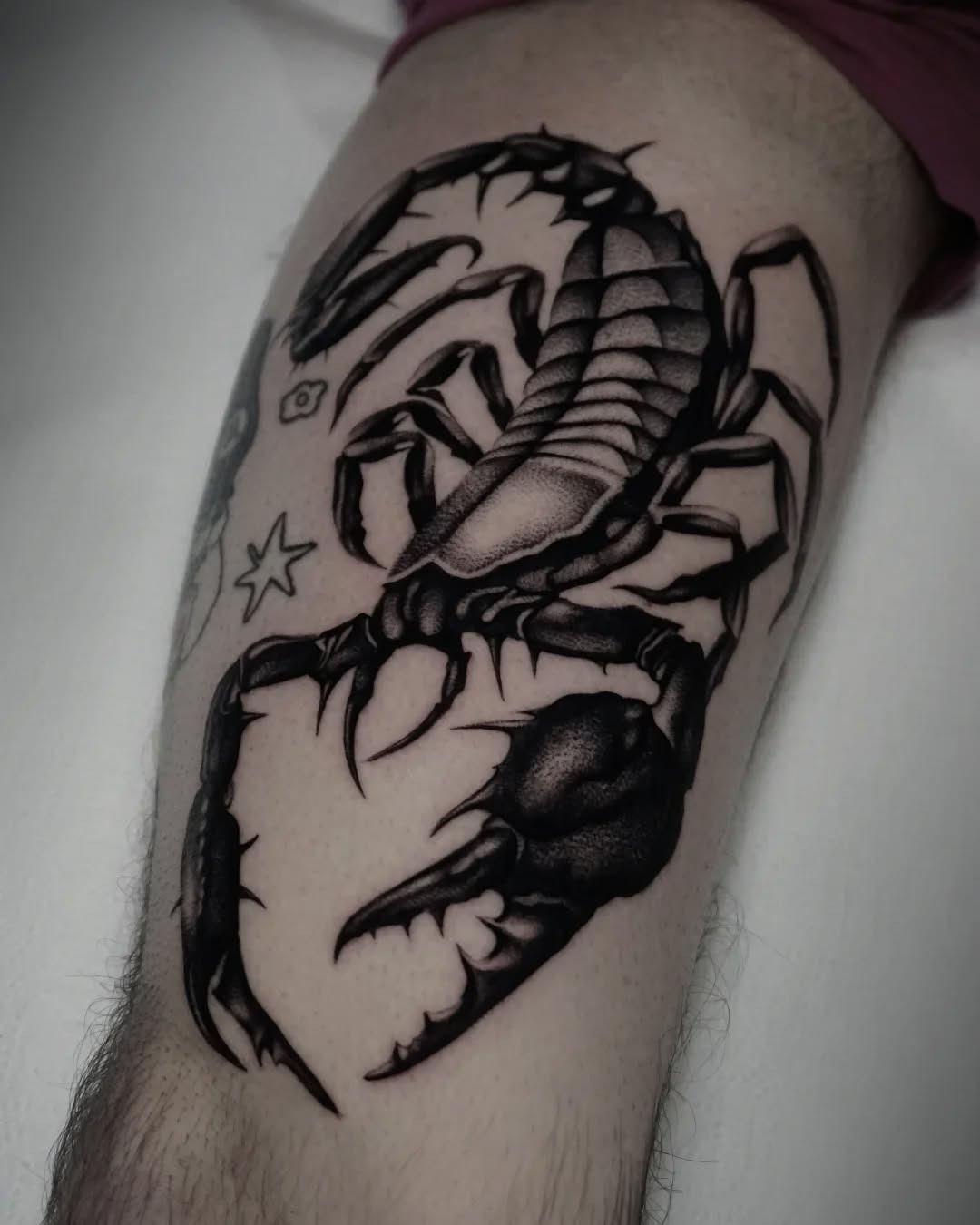 Intricate blackwork scorpion tattoo design Tattoo Design