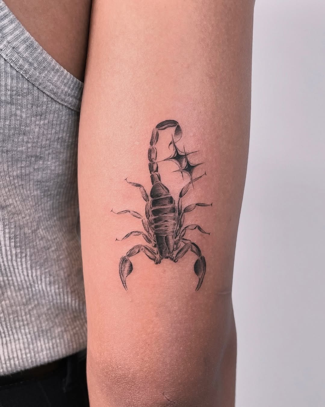 Stunning Scorpio Tattoo in Realistic Detail Tattoo Design