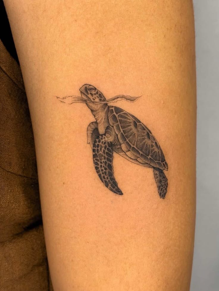 Anchor Sea Turtle Tattoo Tattoo Design