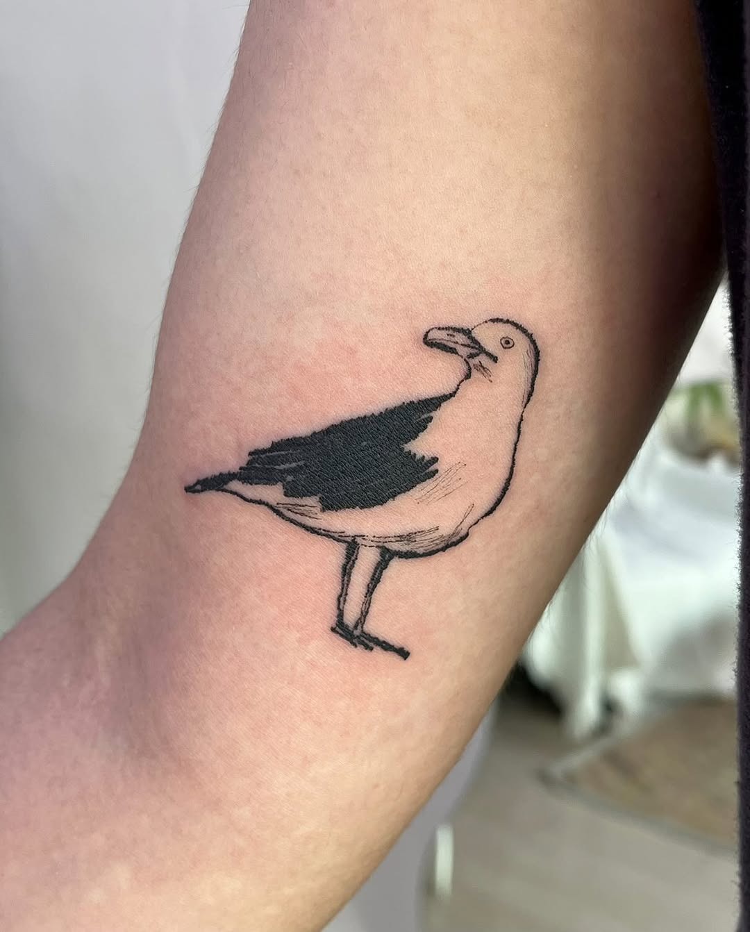 Charming seagull tattoo with minimalist design Tattoo Design