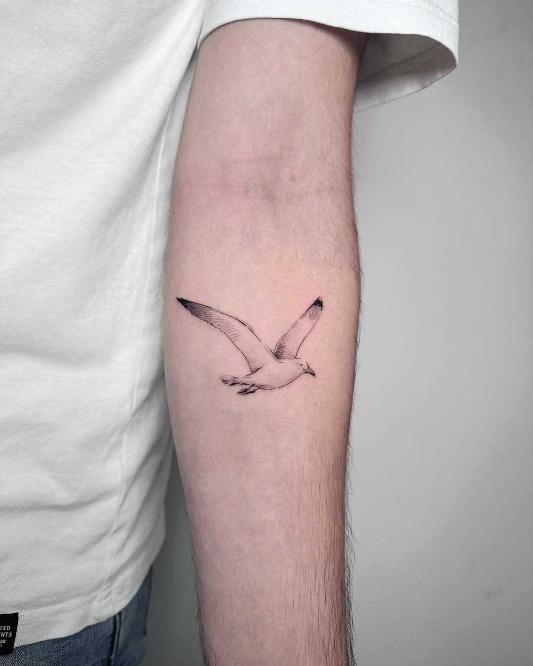 Elegant seagull tattoo soaring on skin Tattoo Design