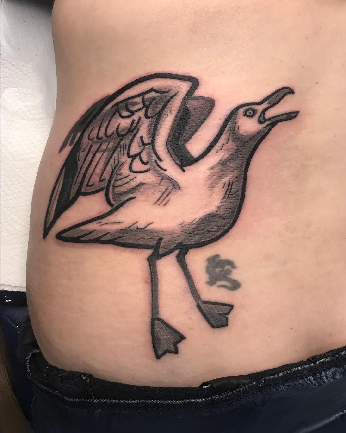Expressive seagull tattoo in dynamic pose Tattoo Design