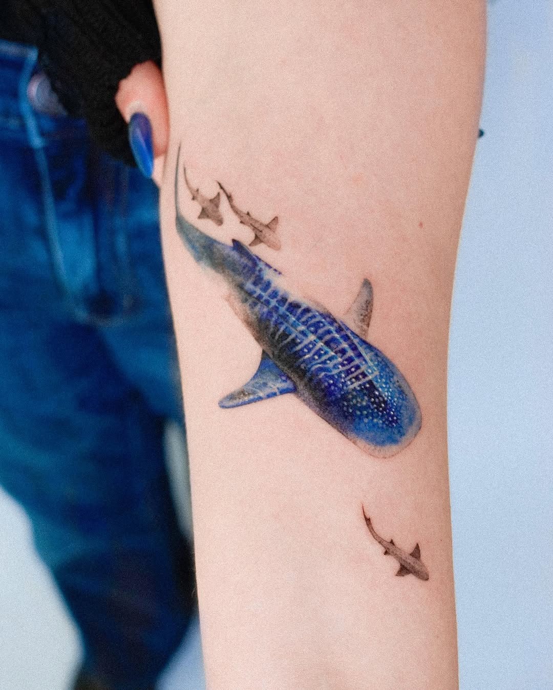 Colorful shark tattoo with smaller companions Tattoo Design