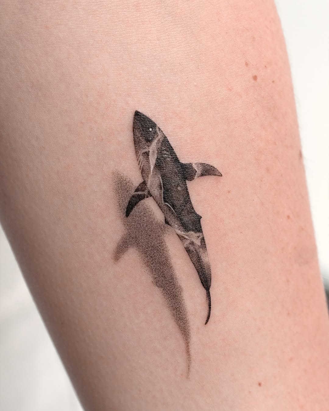 Dynamic Shark Tattoo with Shadow Effect Tattoo Design