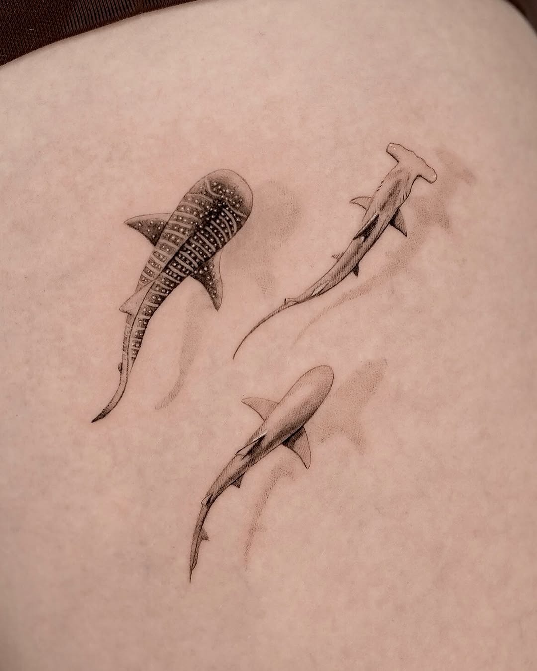 Elegant black-and-gray shark tattoo art Tattoo Design