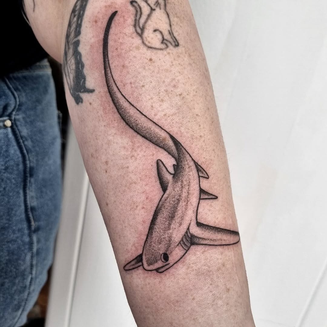 Elegant shark tattoo showcasing sleek design Tattoo Design