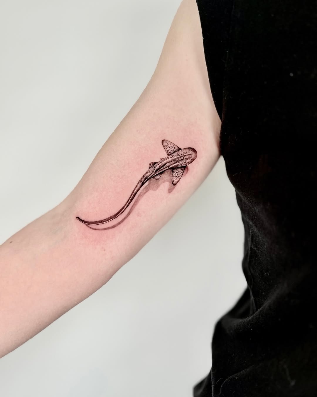 Minimalist shark tattoo in sleek monochrome style Tattoo Design