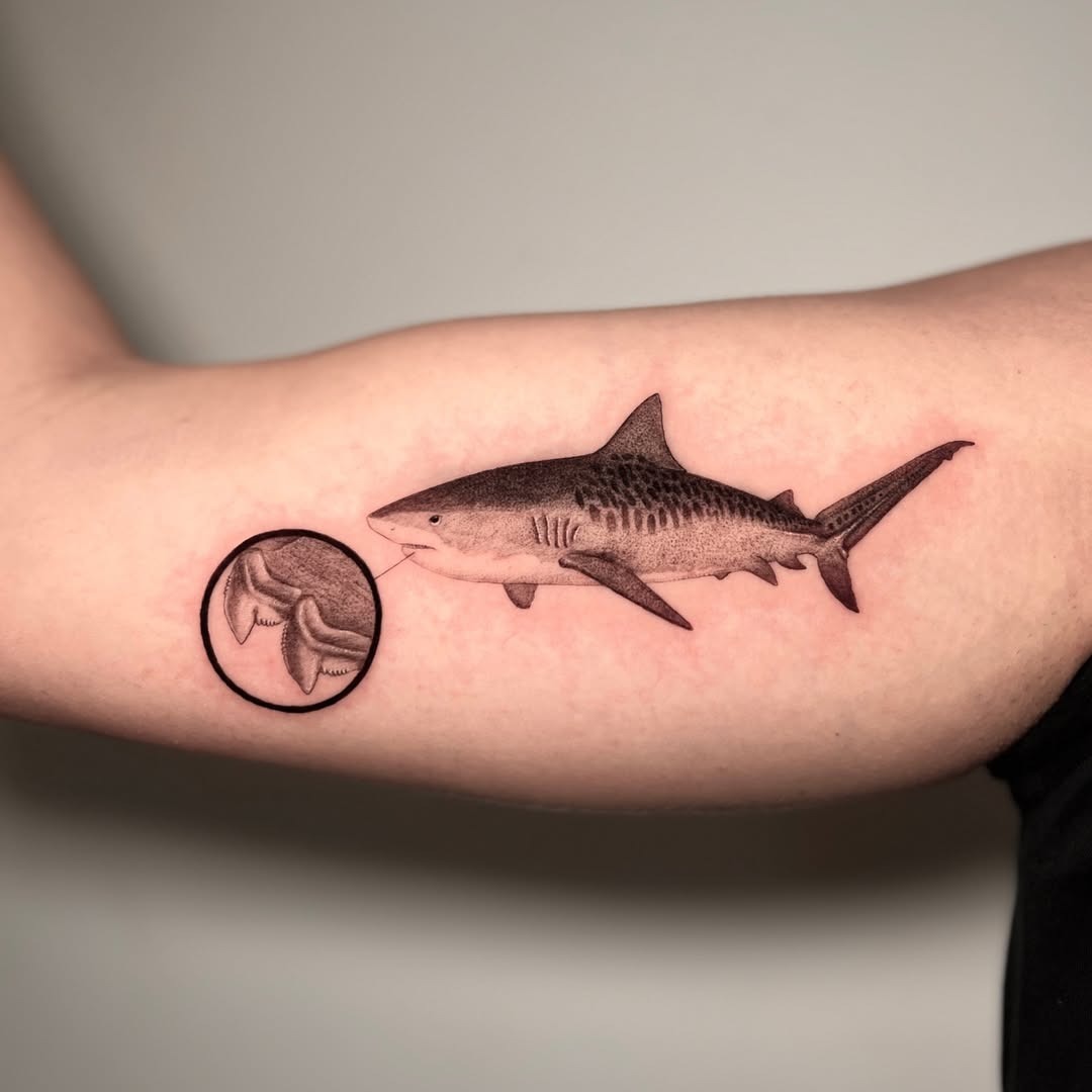 Realistic shark tattoo with inner detail circle Tattoo Design
