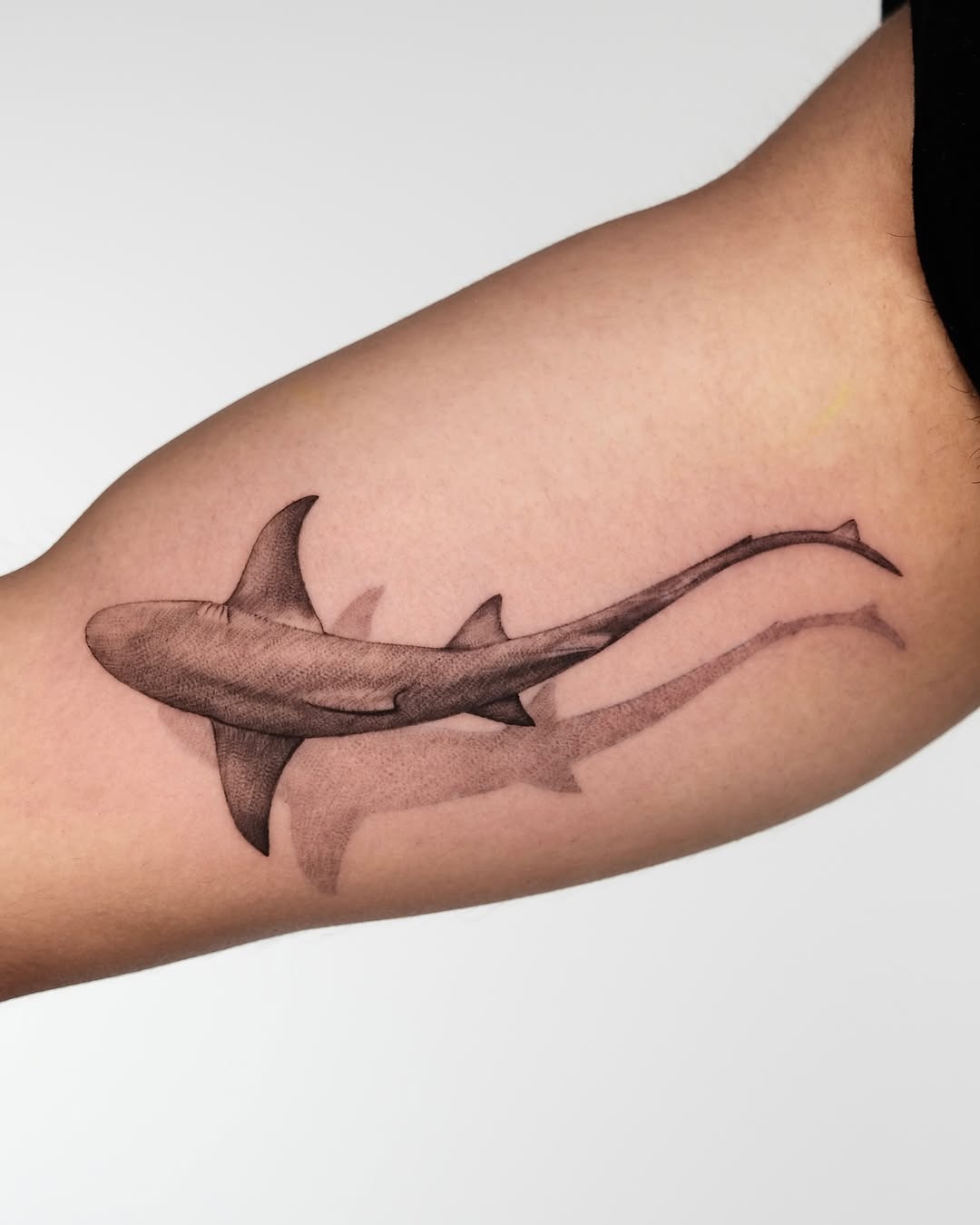 Sleek shark tattoo capturing underwater elegance Tattoo Design