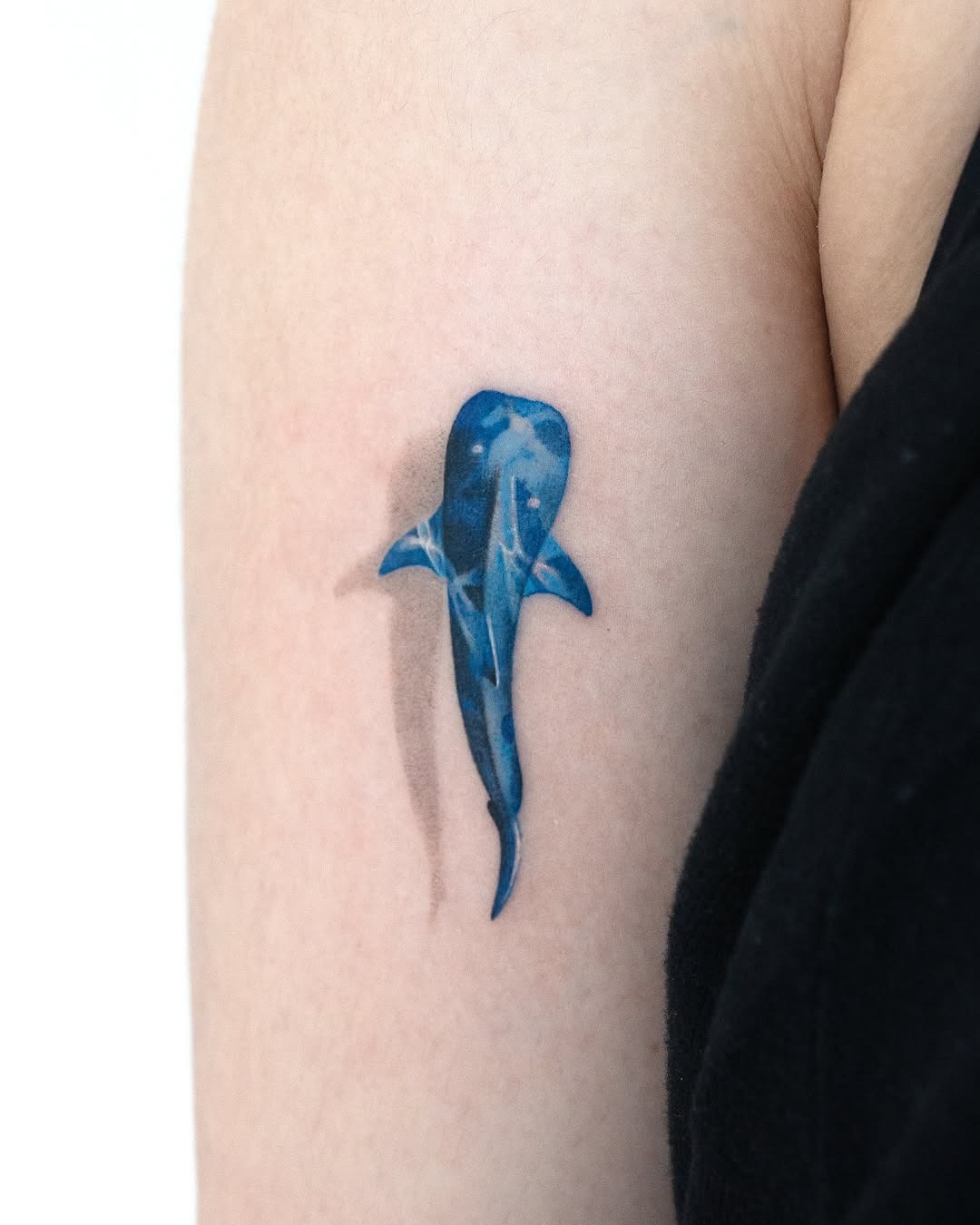 Stunning Blue Shark Tattoo on Arm Tattoo Design