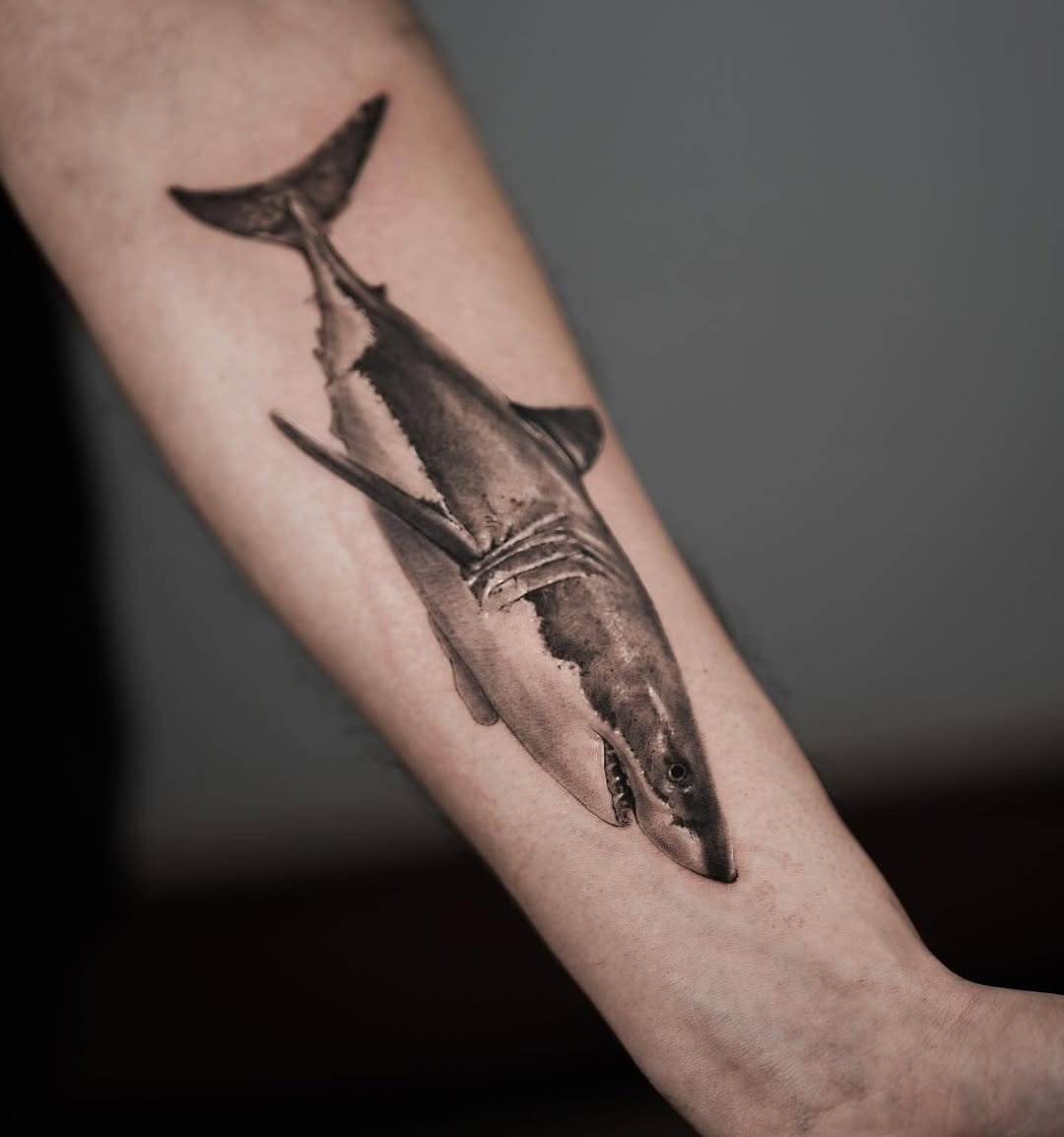 Stunning realistic shark tattoo on forearm Tattoo Design