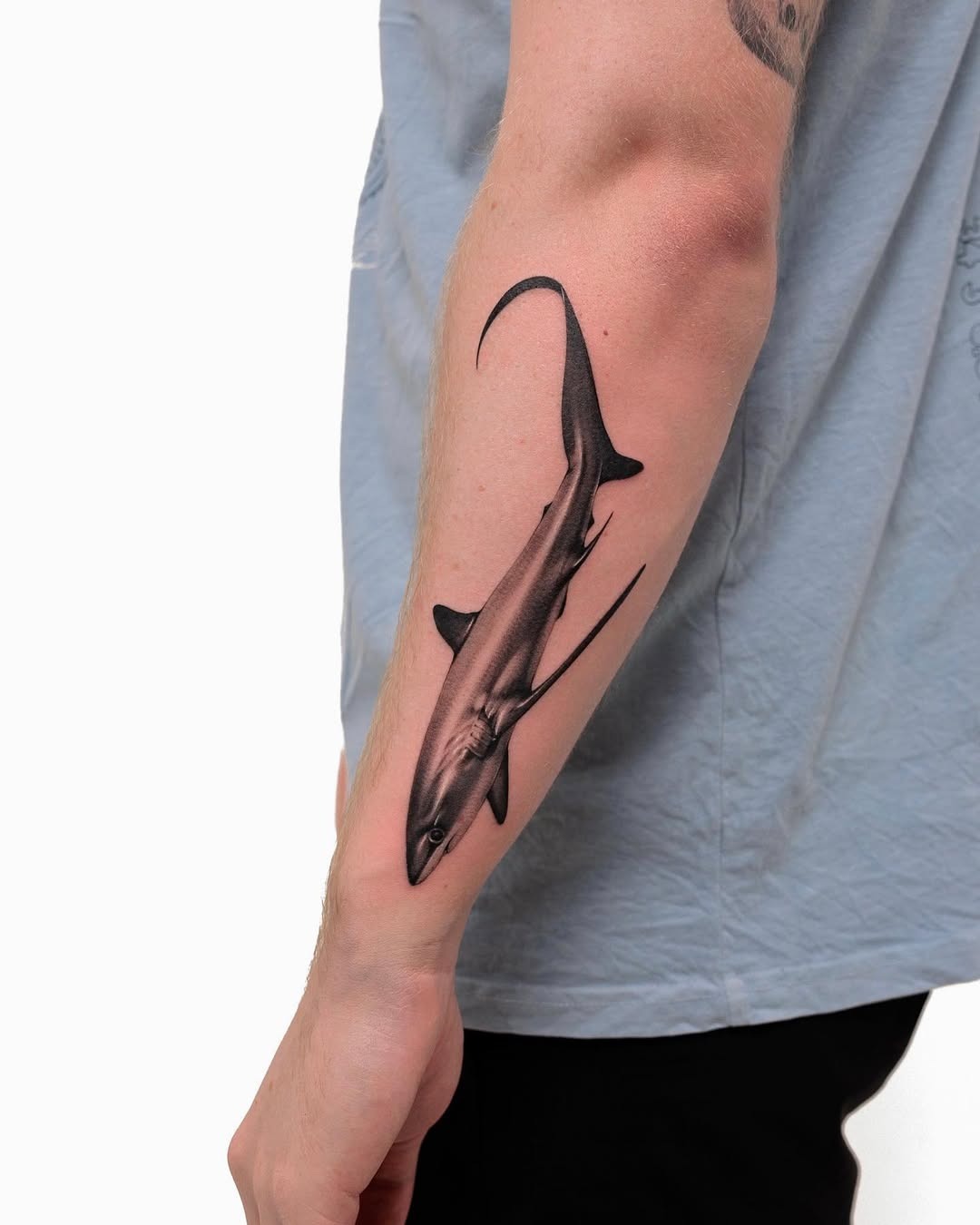 Stunning realistic shark tattoo on forearm Tattoo Design
