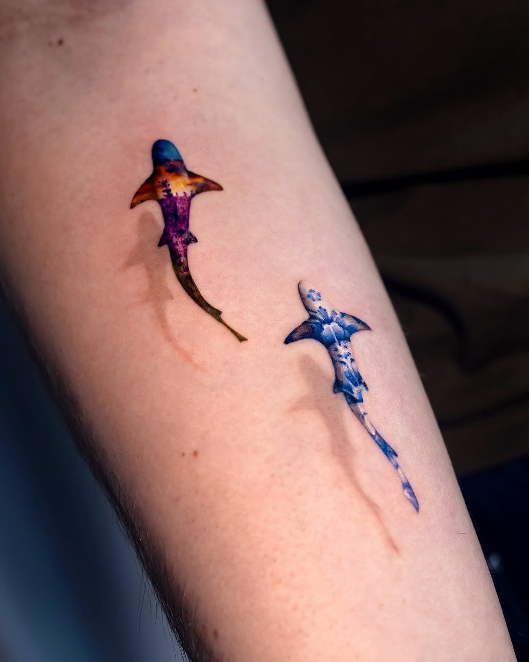 Vibrant shark tattoos showcasing unique artistry Tattoo Design