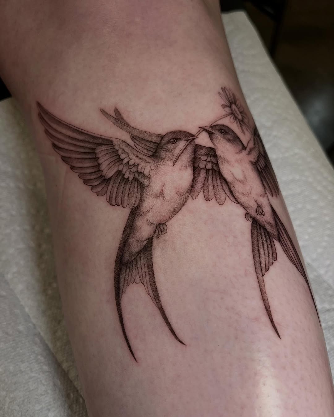 Beautiful birds representing love and connection Tattoo Design