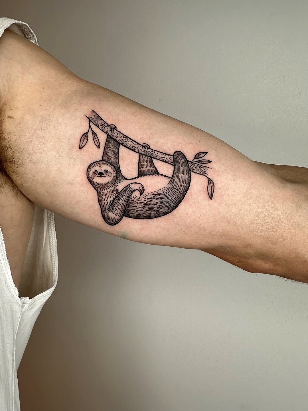 Charming sloth tattoo hanging from a branch Tattoo Design