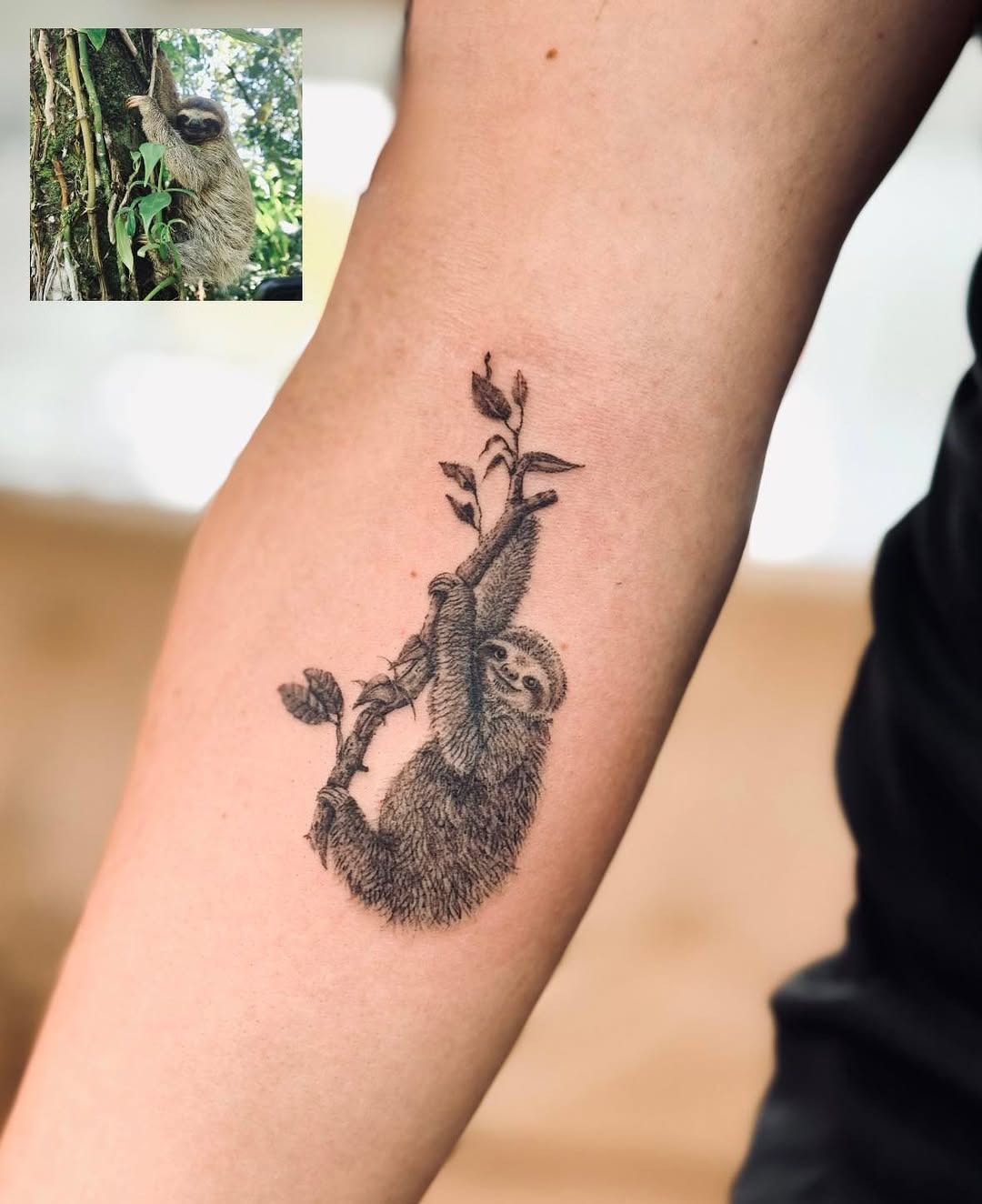 Charming Sloth Tattoo on Climbing Branch Tattoo Design