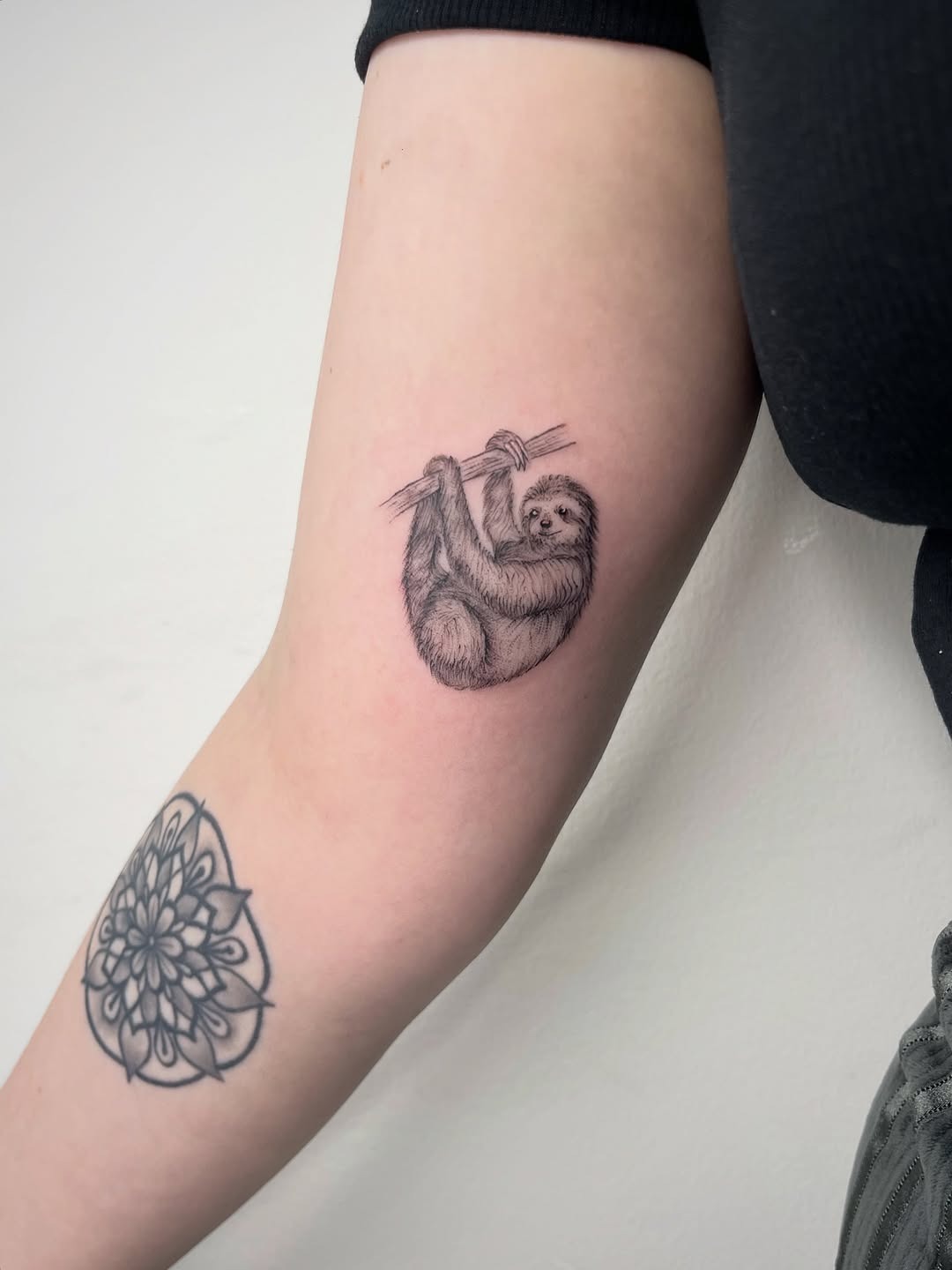 Charming sloth tattoo showcasing playful spirit Tattoo Design