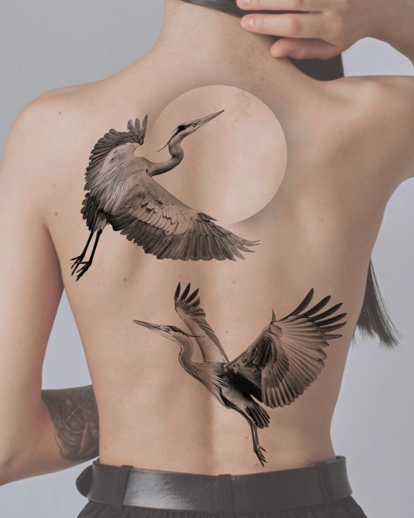 Graceful Great Blue Herons Back Tattoo Tattoo Design