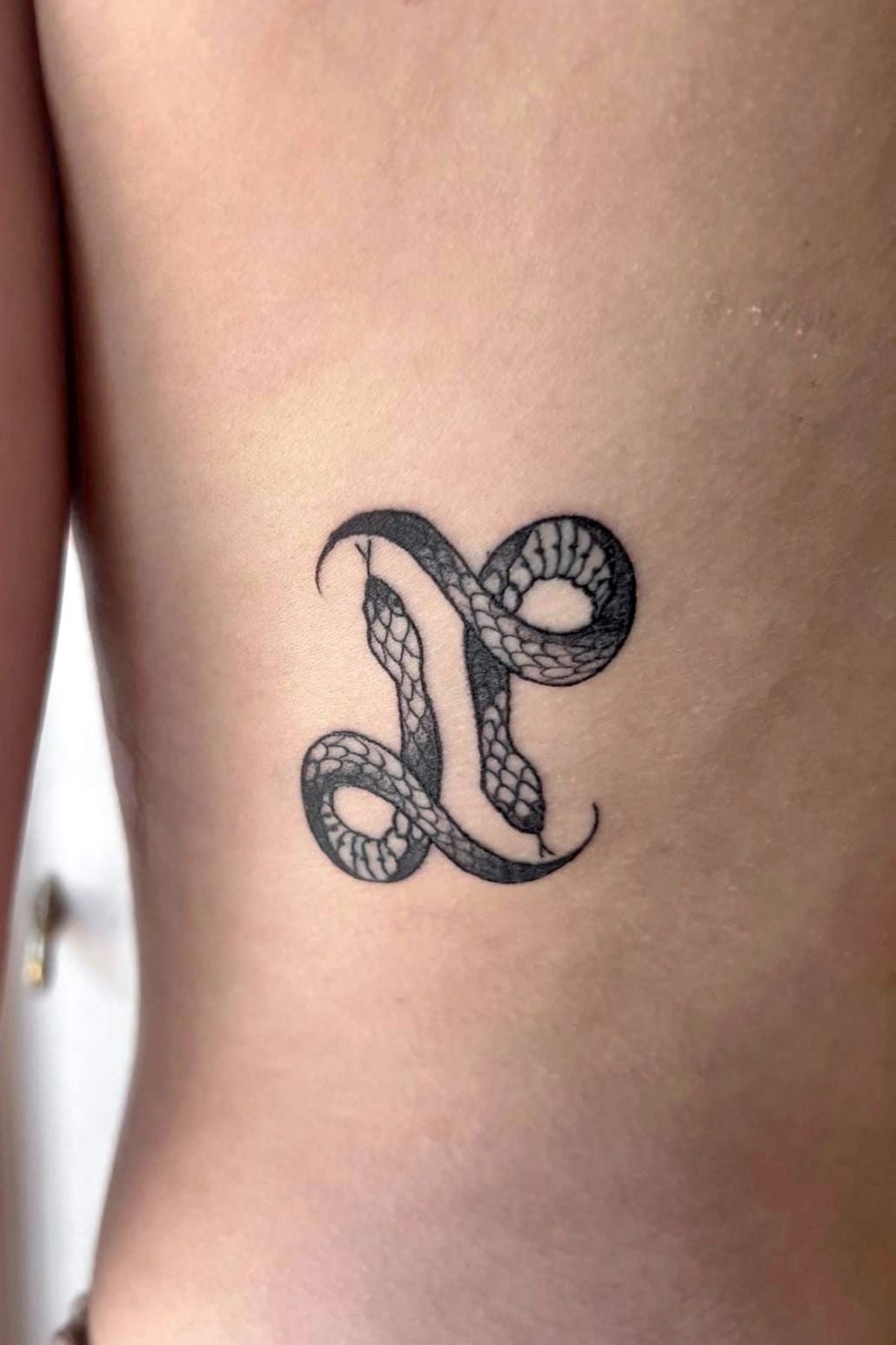 Gemini Snake Symbol Tattoo Tattoo Design