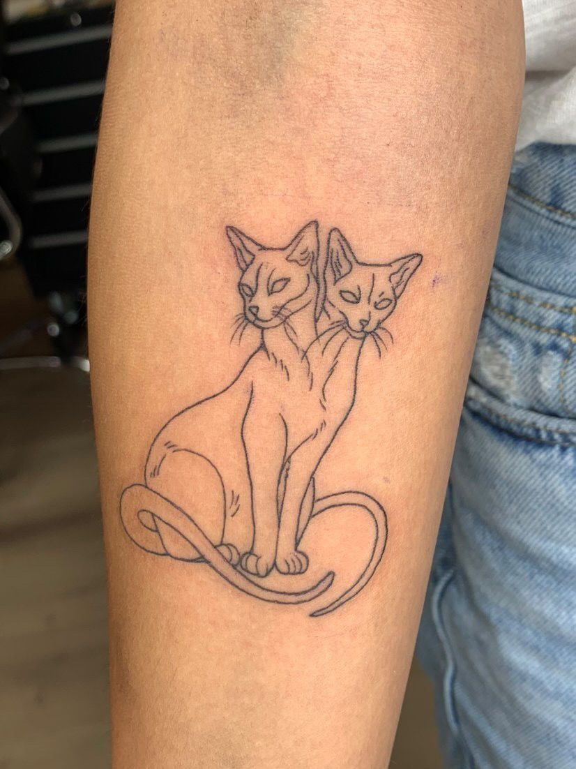 Twin Cat Gemini Tattoo Tattoo Design