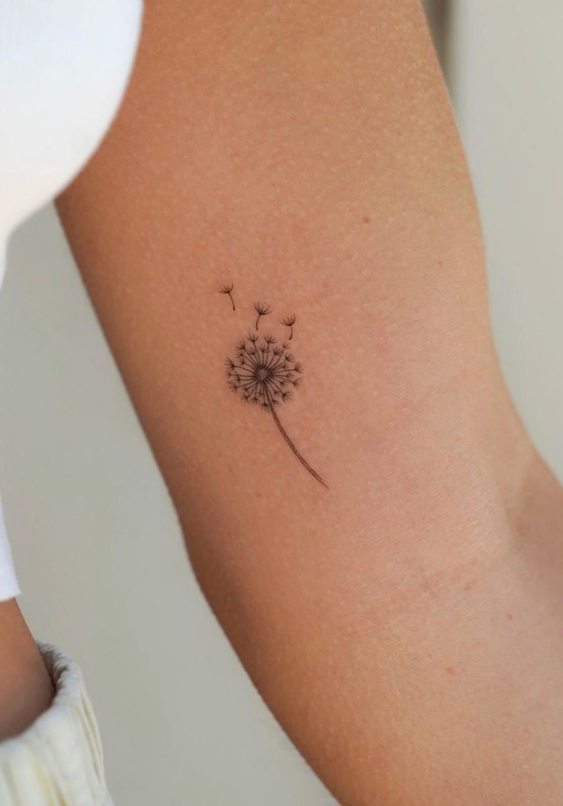 Fine Line Dandelion Tattoo Tattoo Design