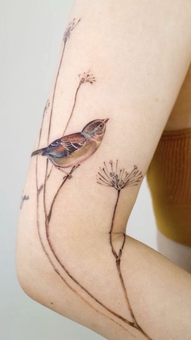 Chubby Sparrow with Daisies Tattoo Design