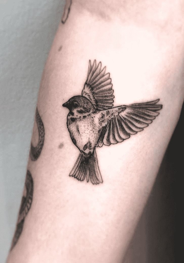 Colorful Matching Sparrow Pair Tattoo Design