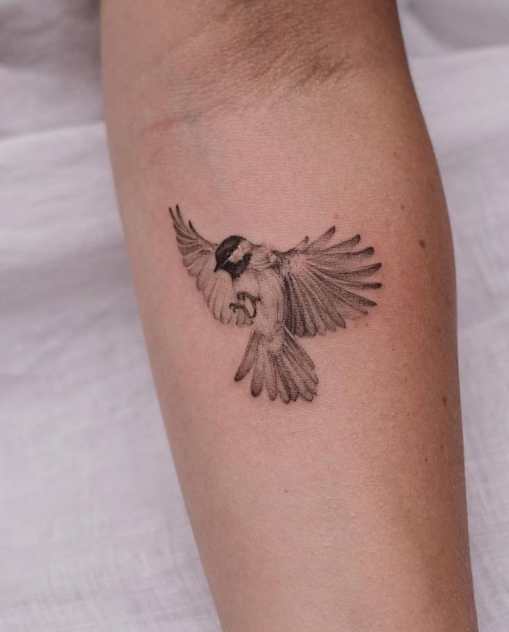 Duo Sparrows with Bold Contrast Tattoo Design