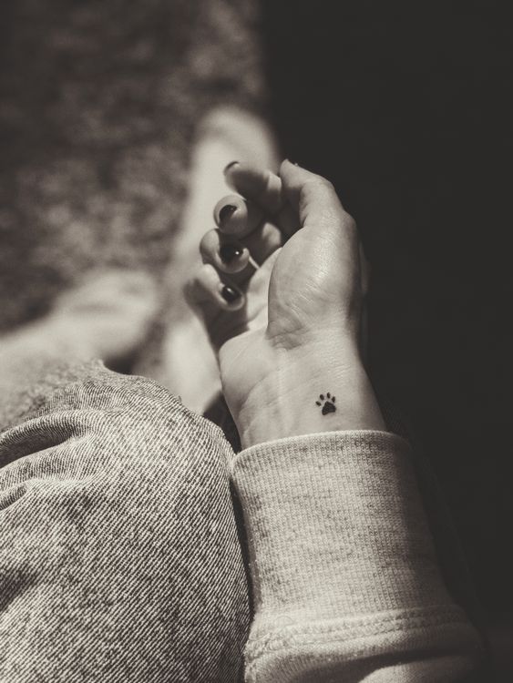 Tiny paw print tattoo on a wrist
