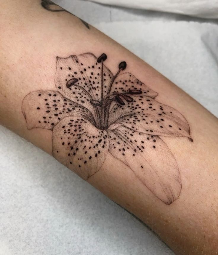 Delicate Fine Line Tiger Lily Forearm Tattoo Tattoo Design