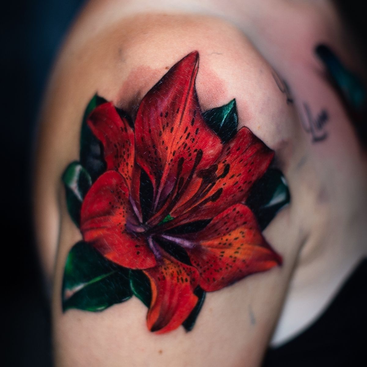 Realistic Red Tiger Lily Shoulder Tattoo Tattoo Design