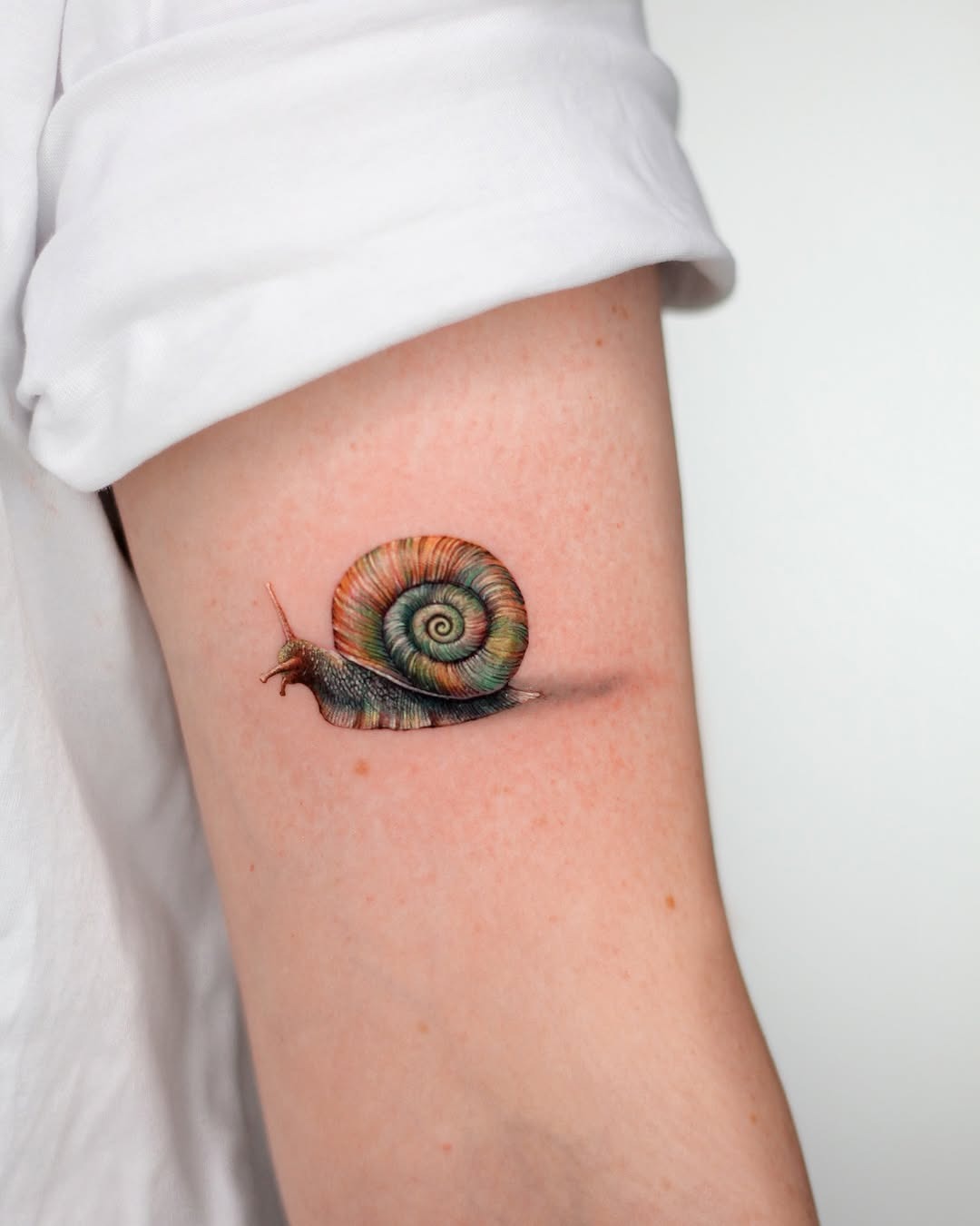 A vibrant, realistic snail tattoo on skin Tattoo Design