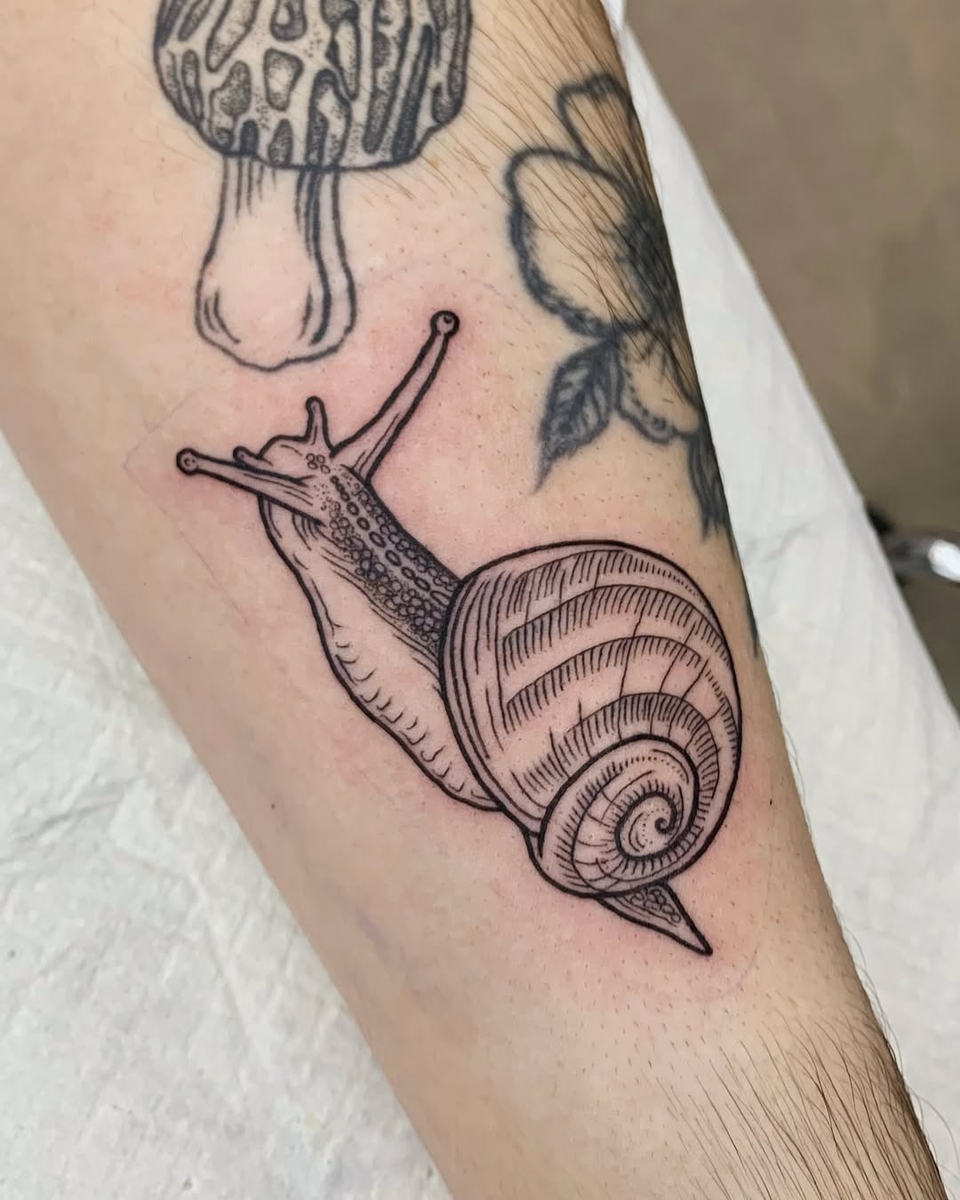 Charming snail tattoo showcasing unique design elements Tattoo Design
