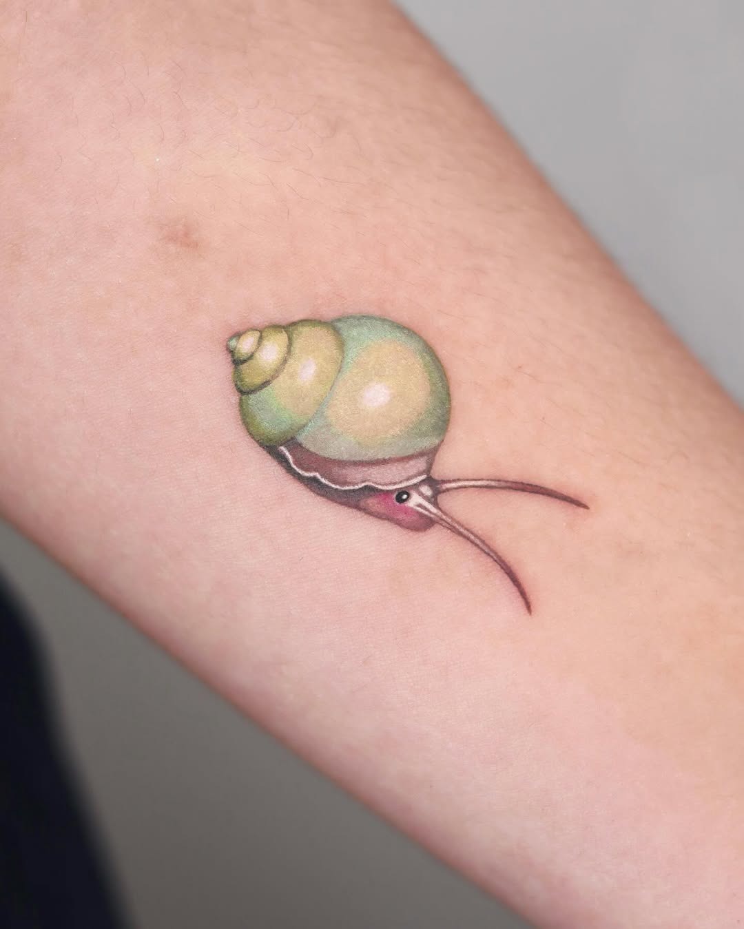 Charming snail tattoo with pastel elements Tattoo Design