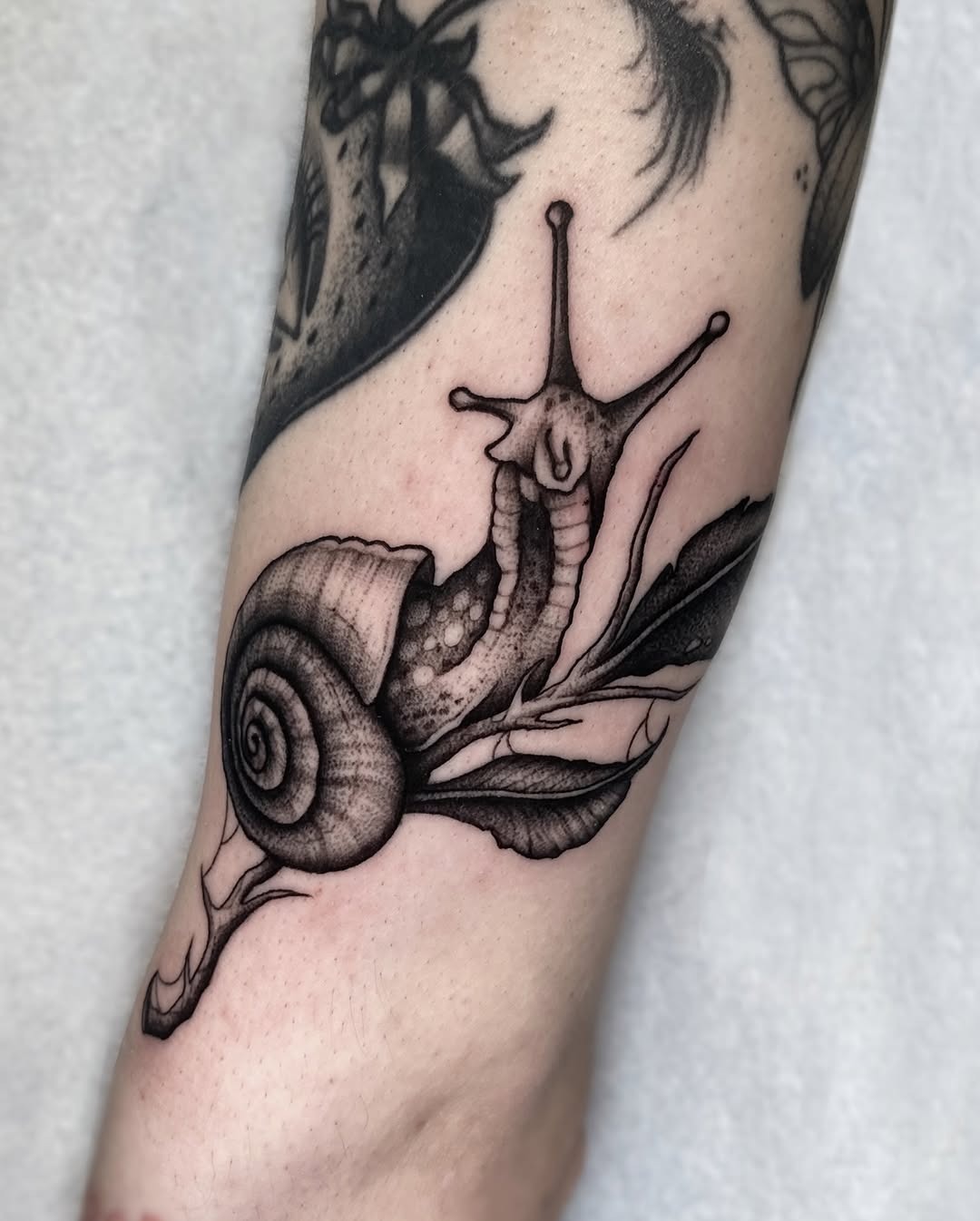 Detailed snail tattoo with a natural touch Tattoo Design