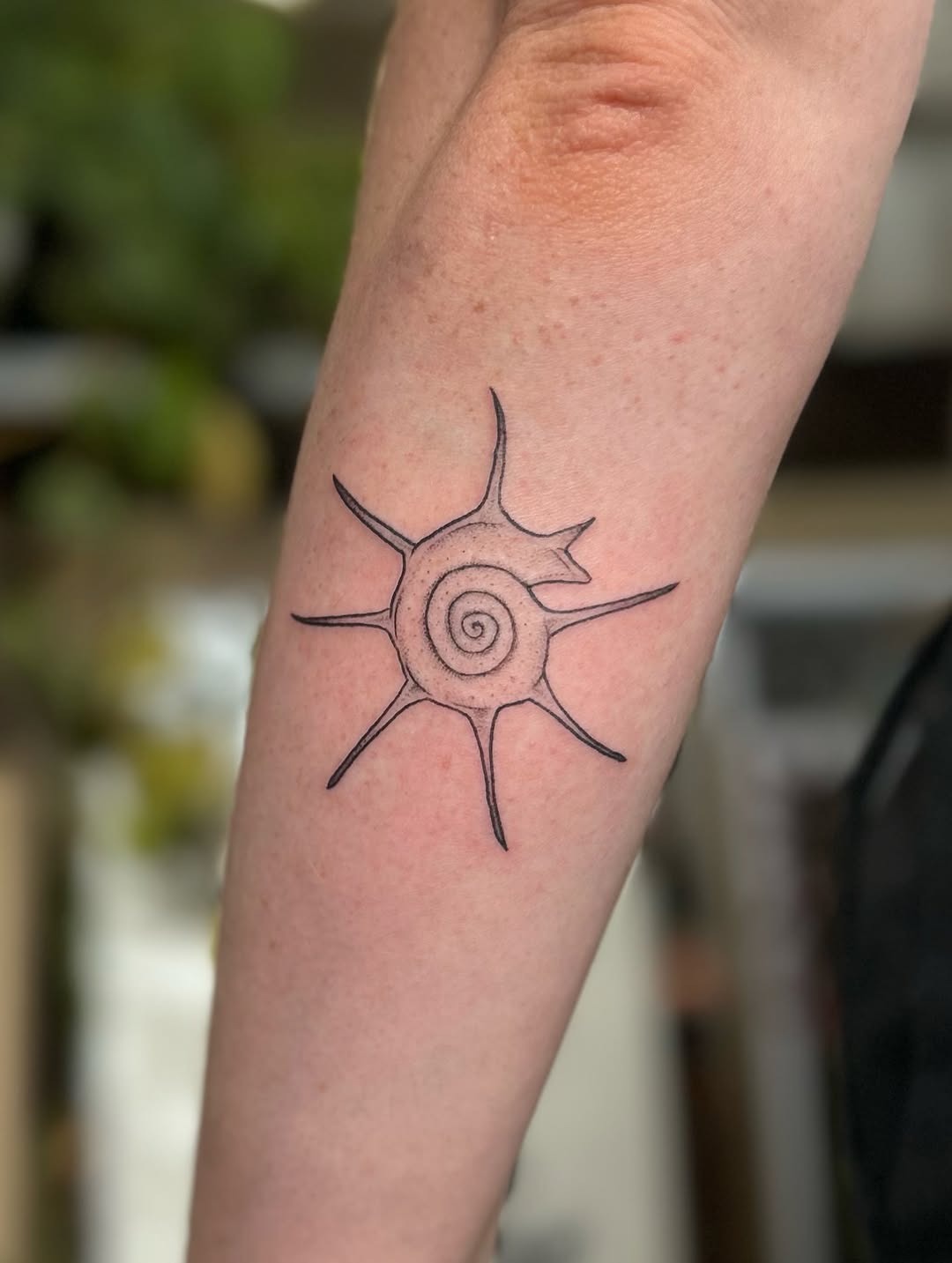Minimalist snail tattoo with sunburst design Tattoo Design