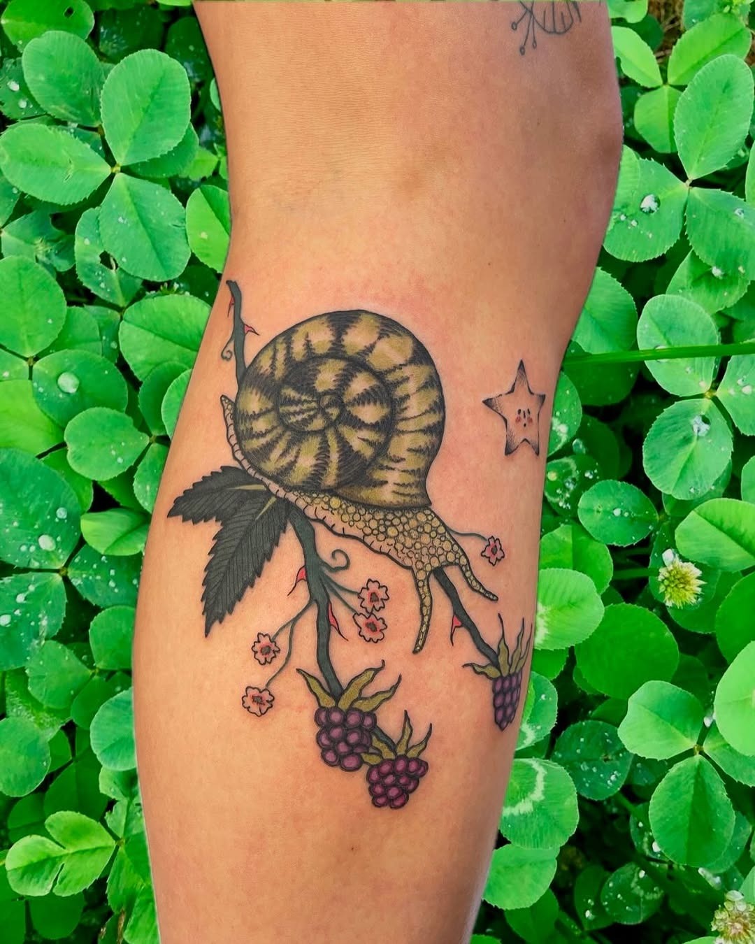 Nature-inspired snail tattoo with vibrant details Tattoo Design